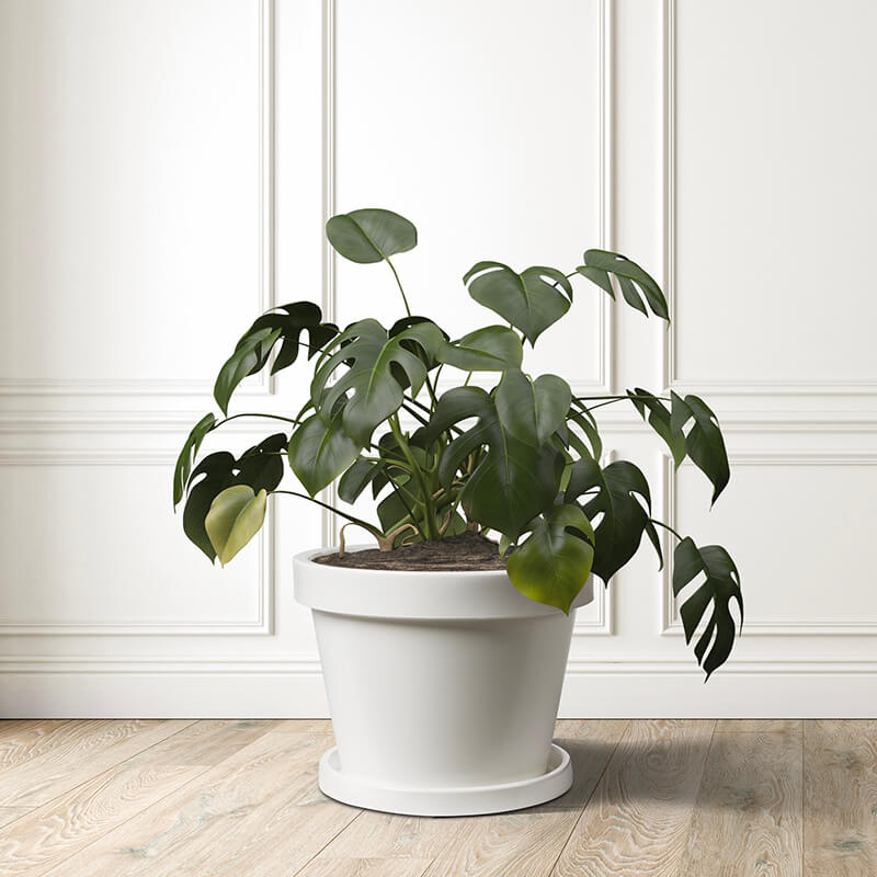 venere-ambiente.jpg Robustni PVC lonec Venere (Za notranje in zunanje površine) - slika 1