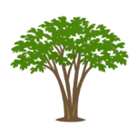 VEČSTEBELNA - SOLITER